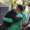 واکنش باغ وحش ارم به مرگ بچه شامپانزه ایرانی در کنیا