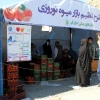 آغاز عرضه میوه تنظیم بازاری در ۲۵ استان