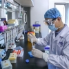  واکسن کرونای مبتنی بر سلول حشره در چین تزریق شد