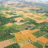 تغییرکاربری سالانه ۱۰  هزار هکتار از اراضی کشاورزی کشور
