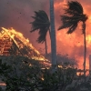 114 کشته و 850 مفقود در پی آتش سوزی در جزیره مائویی