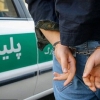 دستگیری عامل تیراندازی به کامیون حامل بنزین در هرمزگان