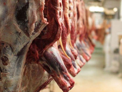 دلیل گرانی گوشت اعلام شد/کشتار اجباری ۶ میلیون دام بعد از حذف ارز ترجیحی