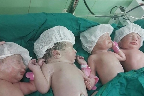 تولد نوزادان 4 قلو در مشهد/آستان قدس هزینه‌ها را متقبل شد