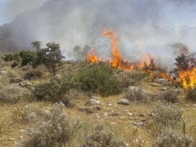 سه هکتار از مراتع منطقه پلنگ دره قم در آتش سوخت