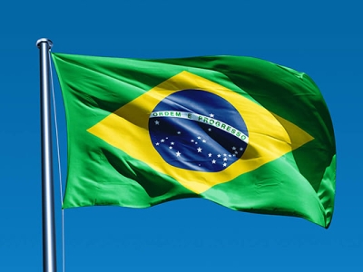 برزیل دومین وزیر سلامت خود را طی یک ماه از دست داد