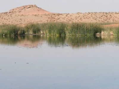 تالاب مره قم از مهمترین آبگیرهای موجود در فلات مرکزی ایران است