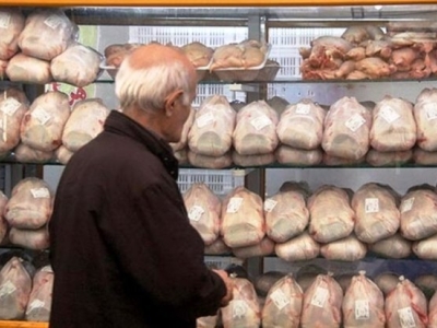 قیمت گوشت مرغ تا دو هفته دیگر کاهش می‌یابد
