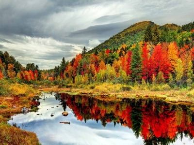 رنگ‌های دیدنی پاییزی در سراسر جهان