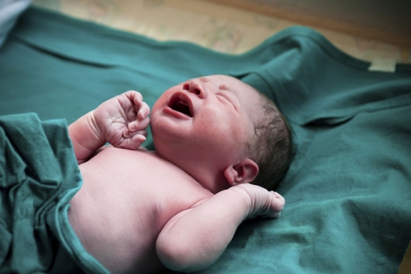سازمان ثبت احوال: دخل و تصرفی در ثبت تاریخ تولد نوزادان نداریم