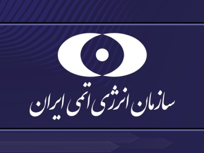 فعالیت تعدادی از دوربین‌های فراپادمانی آژانس در ایران قطع شد