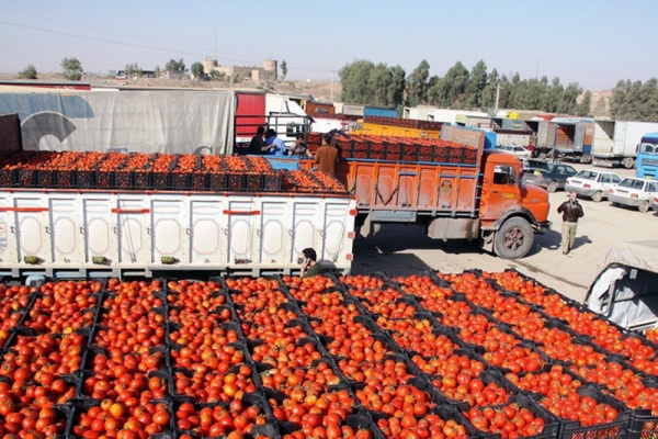 برگشت ۲۰۰ کامیون گوجه فرنگی ایران از عراق