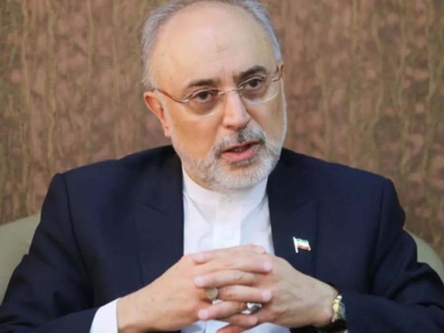 صالحی انتصاب رئیس سازمان انرژی اتمی ایران را تبریک گفت