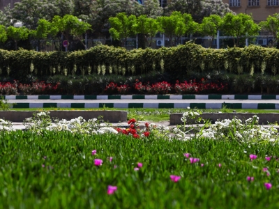 تزیین شهر قم با بیش از نیم میلیون گلدان گل‌بهاری
