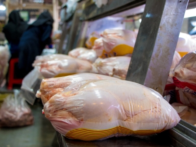 عرضه مرغ گرم به نرخ کمتر از ۳۱ هزار تومان در مراکز فروش