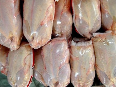 روزانه حدود ۳۰ تُن مرغ منجمد در قم توزیع می‌شود