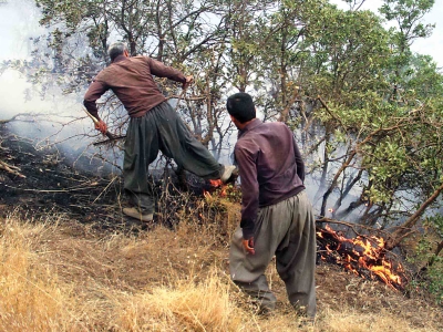 شناسایی و دستگیری 14 نفر از عاملان آتش‌سوزی جنگل‌های مریوان