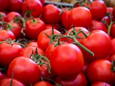 وعده کاهش قیمت گوجه فرنگی از ماه آینده