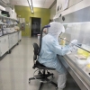 تولید کیت‌های تشخیص کرونا در دانشگاه تهران