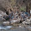 وجود آلودگی‌های زیست محیطی در رودخانه‌های قم