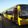 ۲۰ هزار دستگاه اتوبوس در کشور بهره‌برداری می‌شود