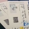 نامه مجلس به وزیر راه در پی گلایه همسر شهید رضایی‌نژاد از سازمان هواپیمایی+ عکس