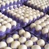 فروش هر کیلو گرم تخم مرغ بالاتر از ۵۷ هزار تومان گرانفروشی است