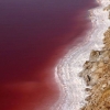 دریاچه نمک قم برای اولین بار سرخ شد