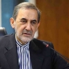واکنش مشاور رهبر انقلاب به عضویت ایران در بریکس