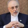 پیام رئیس سازمان انرژی اتمی به وزیر دفاع به مناسبت شهادت محسن فخری‌زاده