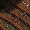 تصاویر هوایی از دفن قربانیان کرونا در قبرستان سائوپائولو