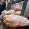 مرغ منجمد نسبت به مرغ گرم از کیفیت بالاتری برخوردار است