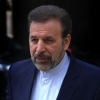واکنش واعظی به راه اندازی سایتی توسط کمیسیون اصل نود برای شکایت از روحانی
