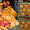 قیمت میوه‌های تنظیم بازاری شب عید اعلام شد/پرتقال ۹۰۰۰ و سیب قرمز۱۱۰۰۰ تومان