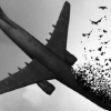 روایتی تلخ از نخستین لحظات سقوط هواپیمای اوکراینی