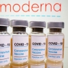 مدرنا آزمایش واکسن کرونا روی زنان باردار را آغاز می‌کند