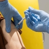 روند تزریق واکسن‌های کرونا در جهان+اینفوگرافیک