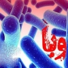 شناسایی کودک سه ساله مبتلا به وبا در لار