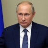 روسیه: گمانه‌زنی‌ها درباره جانشین احتمالی پوتین بی‌اساس است