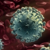 شناسایی دو نوع جدید از ویروس کرونا در آمریکا 