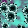 نتایج جدید درباره عمر ویروس کرونا روی سطوح