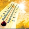 پیامدهای گرمای هوا برای زنان باردار