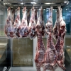 گرانی گوشت در آغاز رمضان/هرکیلو شقه گوسفندی به 200 هزار تومان شد