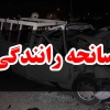 ۵ زائر اربعین ایرانی دیگر فوت شدند