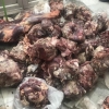 کشف 70 تن گوشت فاسد وارداتی از مبدا مغولستان به کشور