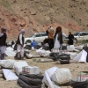 توزیع کمک‌های ایران به سیل زدگان افغانستان