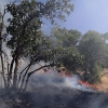 تلاش برای مهار آتش در جنگل های مریوان برای سومین روز متوالی