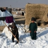 افزایش تلفات سرما در افغانستان