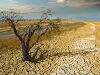 ۹۷ درصد مساحت کشور دچار خشکسالی است