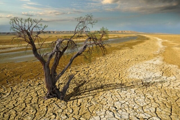 ۹۷ درصد مساحت کشور دچار خشکسالی است